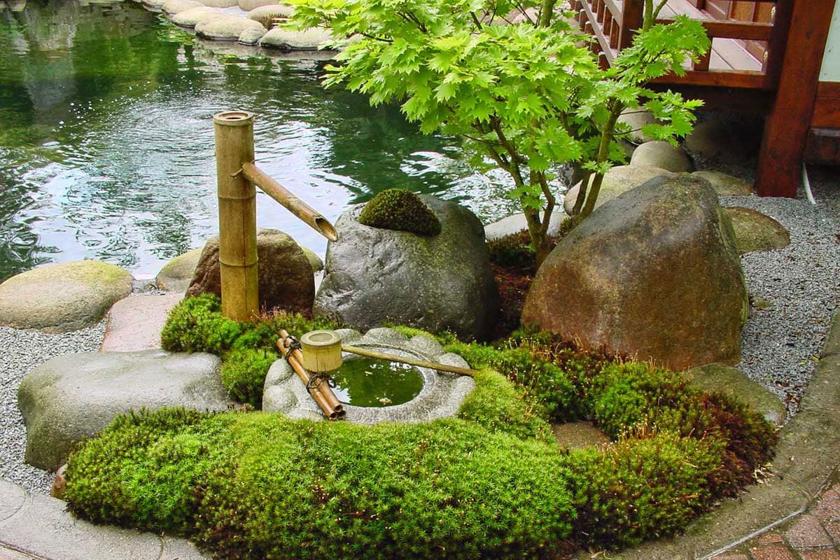 Изображение Каменный сад на дачном участке