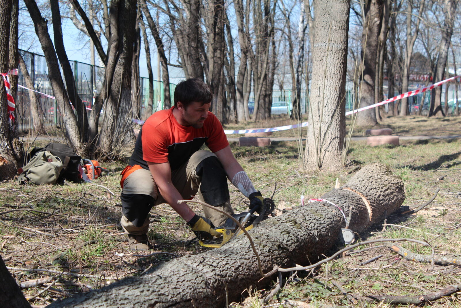 Изображение Служба вырубки деревьев в Москве и Московской области